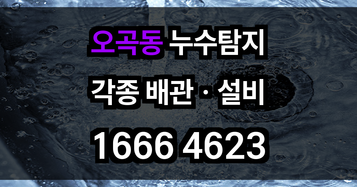 오곡동 누수탐지