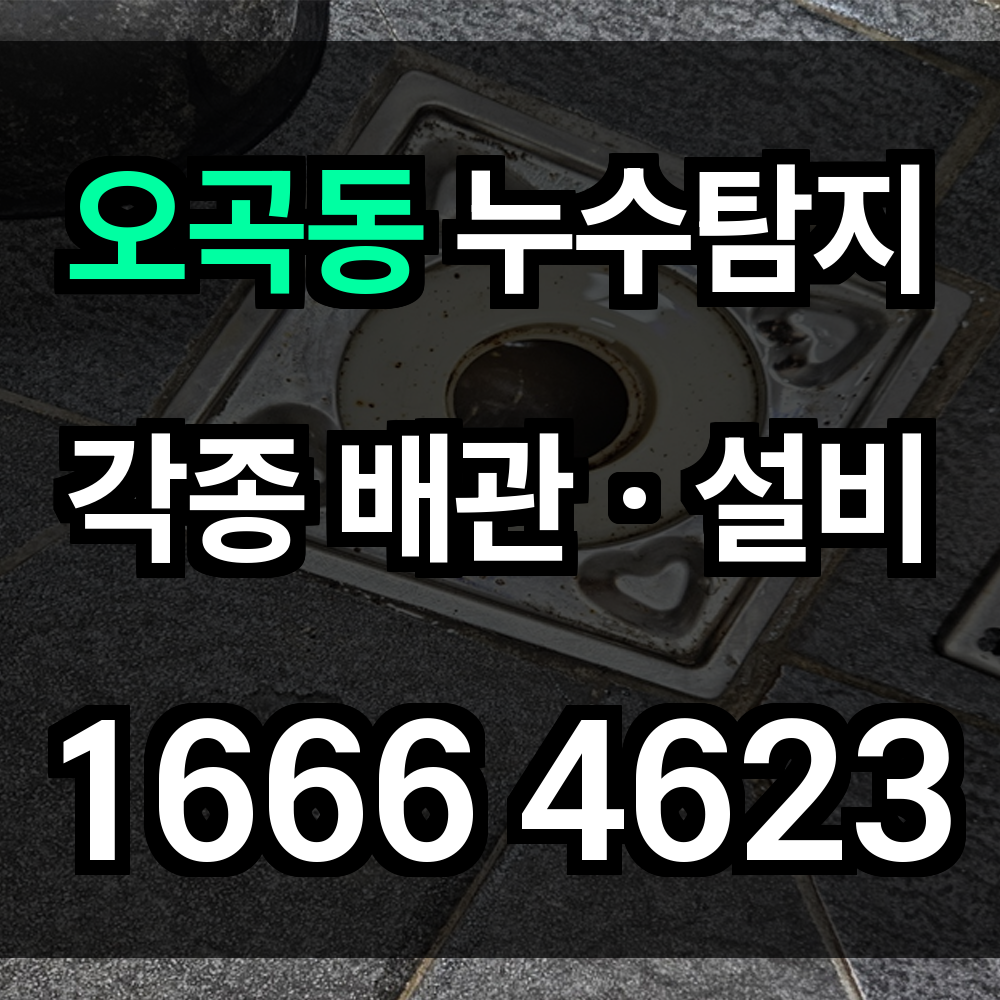 오곡동 누수탐지