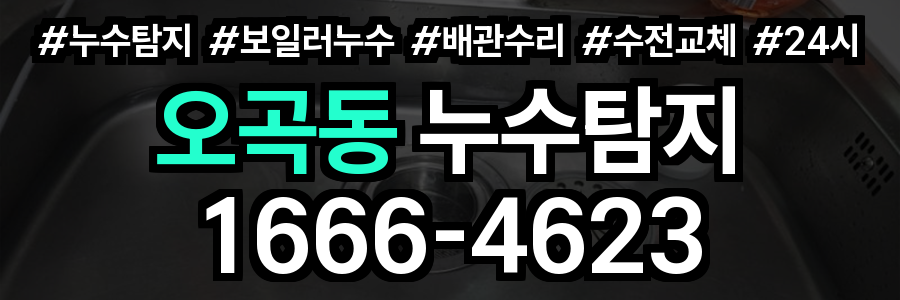 오곡동 누수탐지