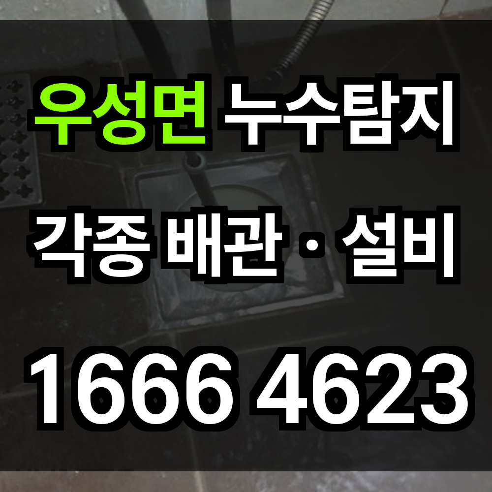 우성면 누수탐지