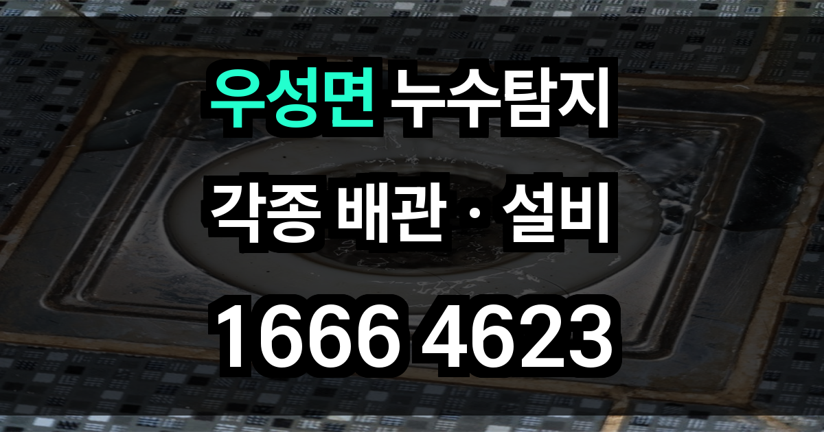 우성면 누수탐지