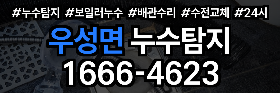 우성면 누수탐지
