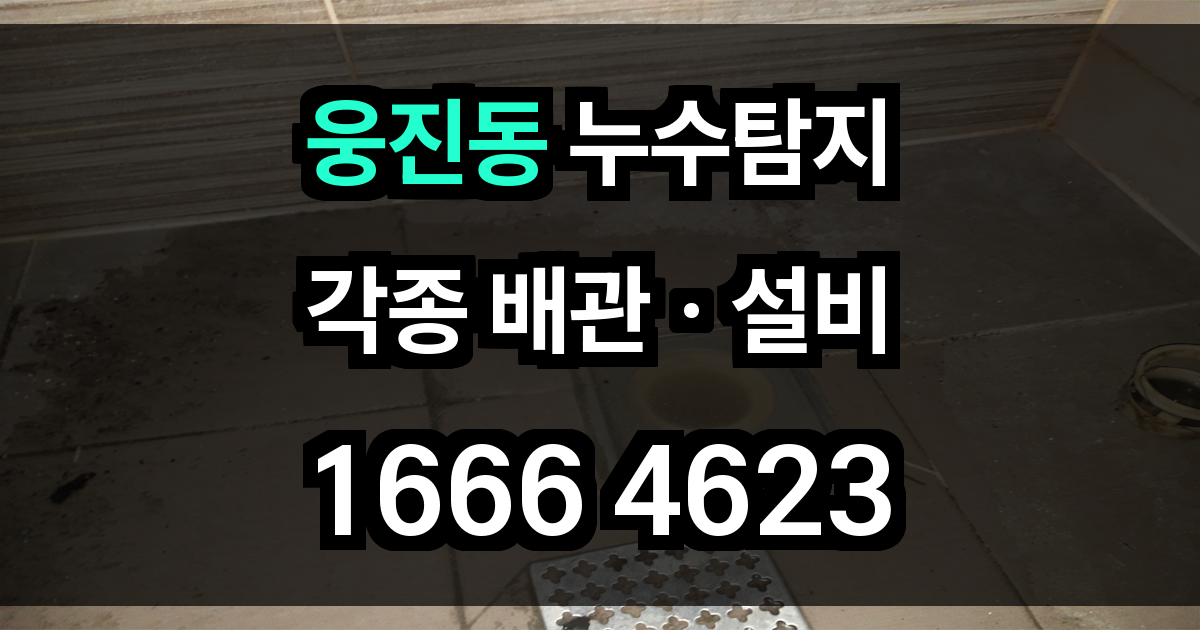 웅진동 누수탐지