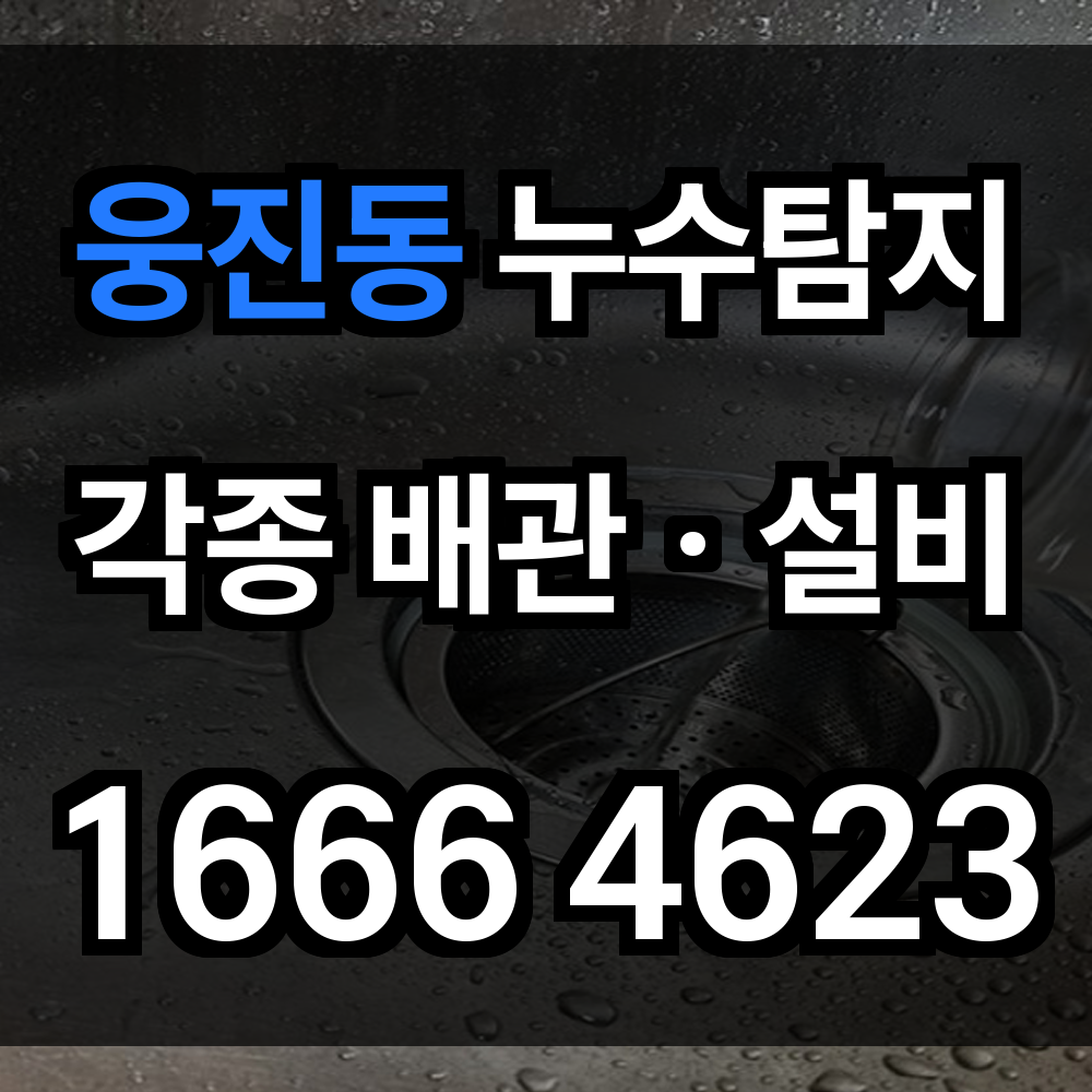 웅진동 누수탐지