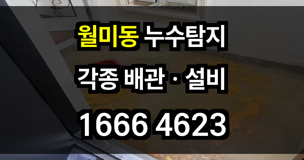 월미동 누수탐지