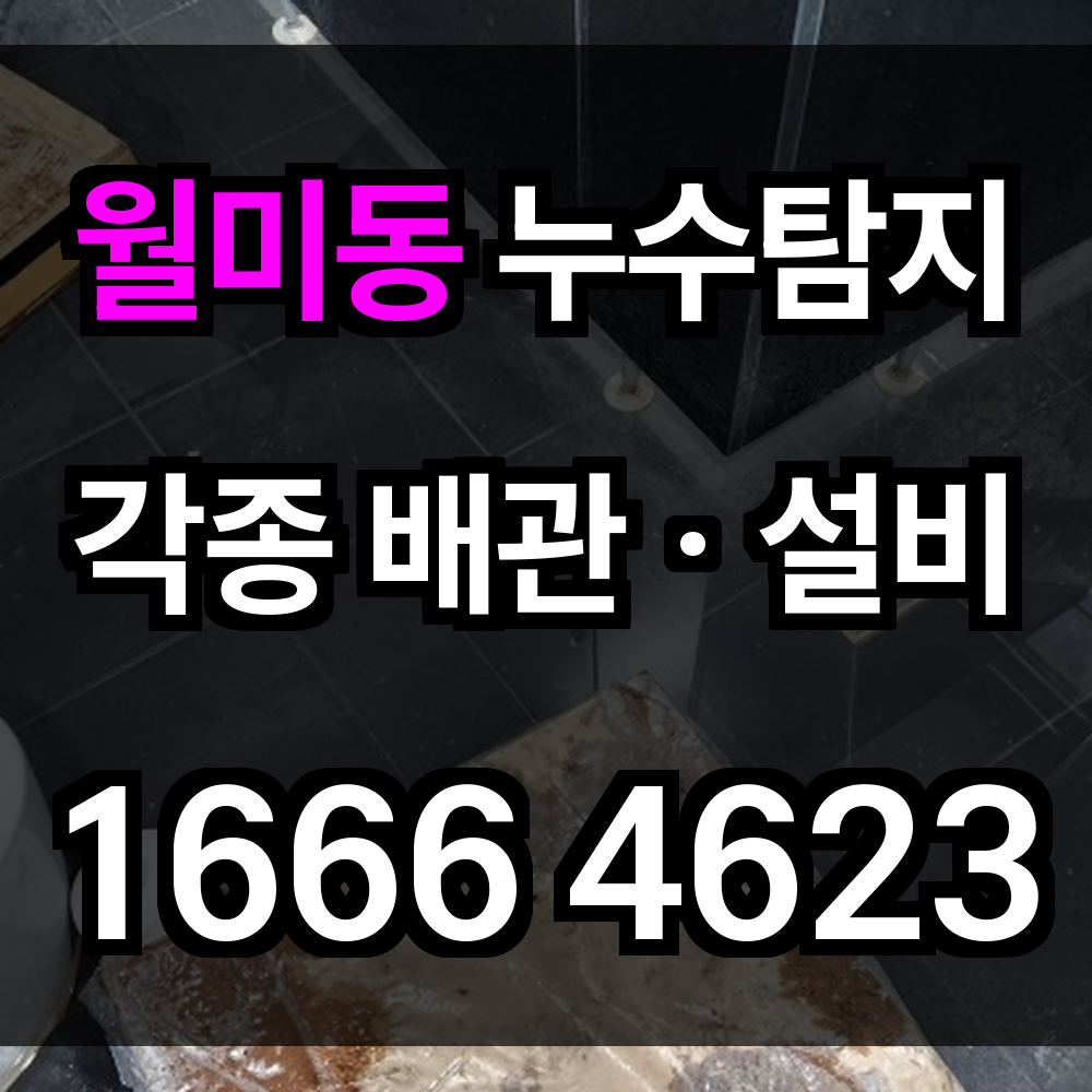 월미동 누수탐지