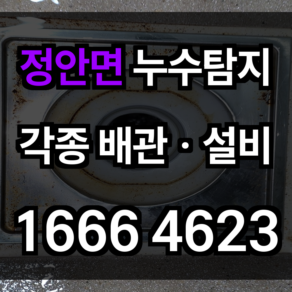 정안면 누수탐지