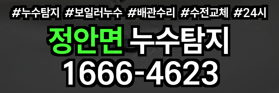 정안면 누수탐지