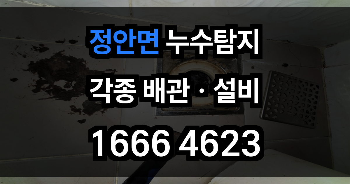 정안면 누수탐지
