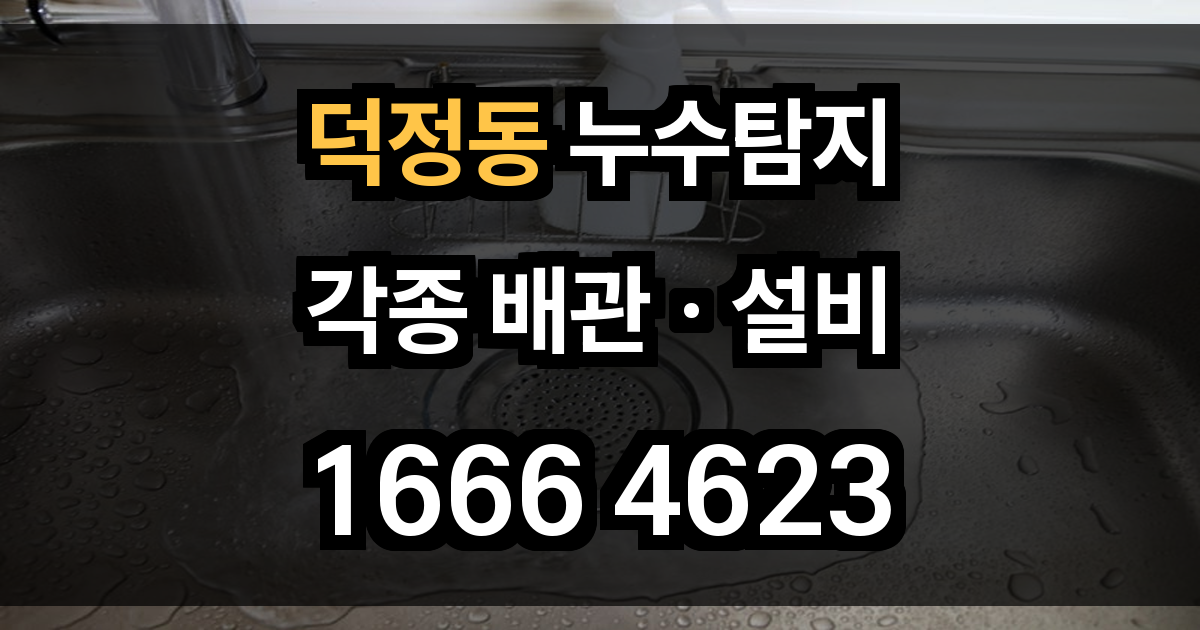 덕정동 누수탐지