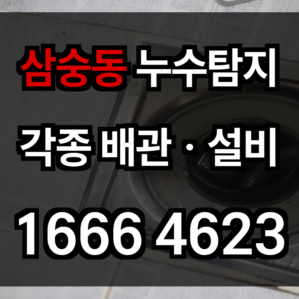 삼숭동 누수탐지