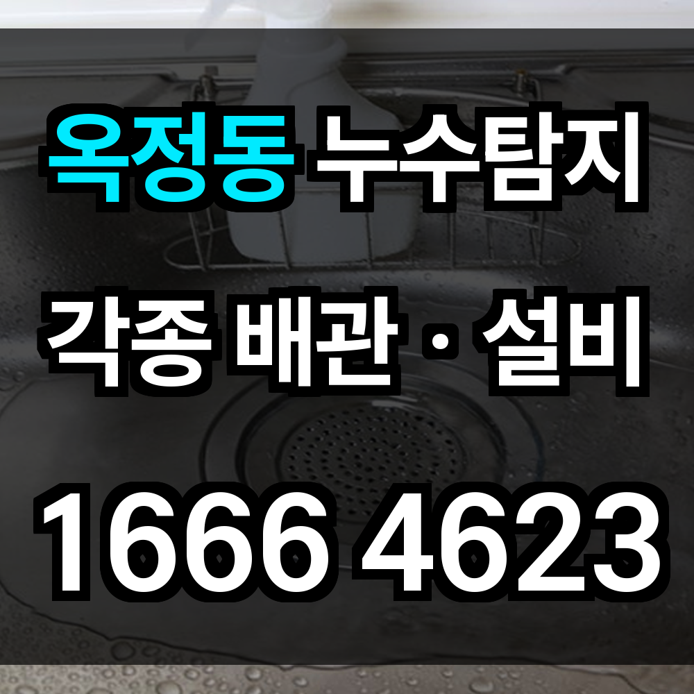 옥정동 누수탐지
