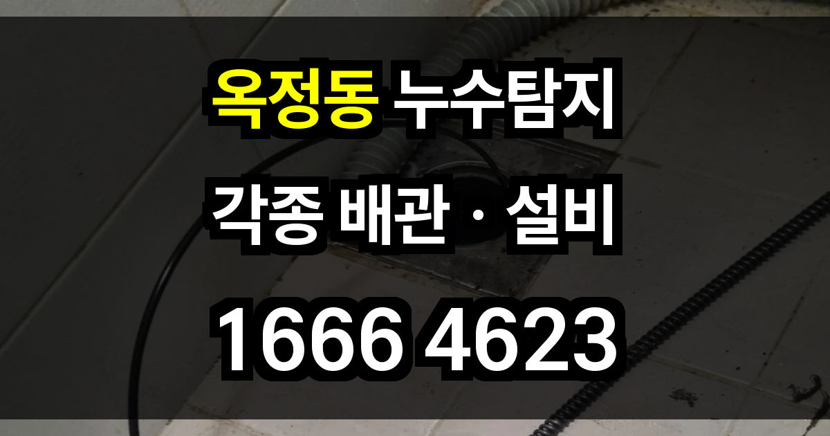 옥정동 누수탐지