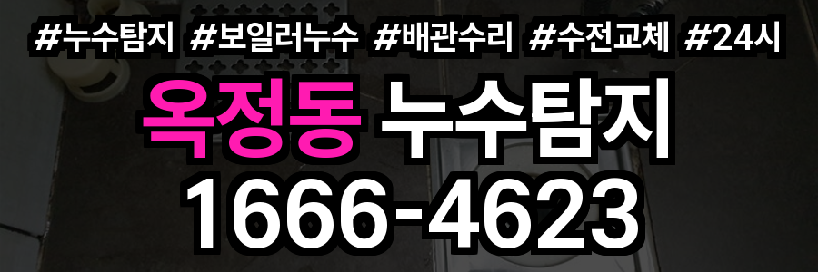 옥정동 누수탐지