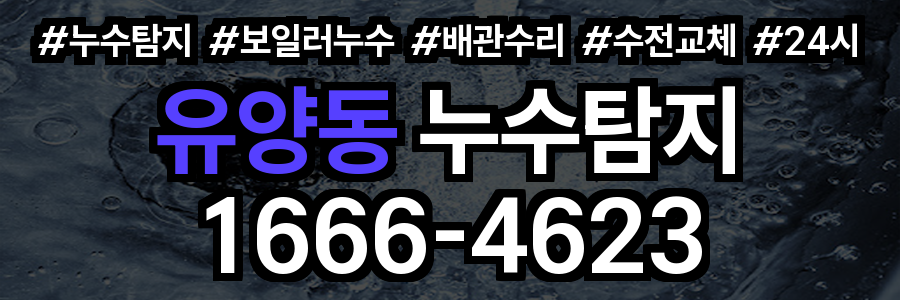 유양동 누수탐지