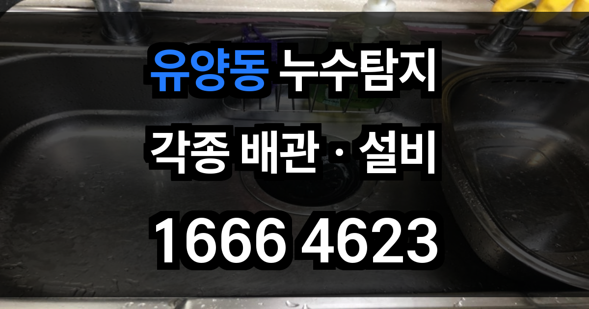유양동 누수탐지