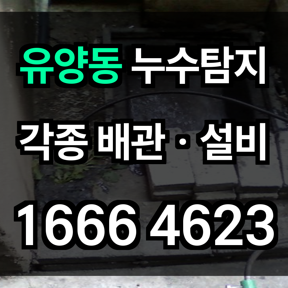 유양동 누수탐지