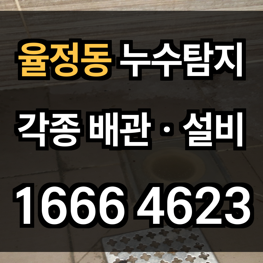 율정동 누수탐지