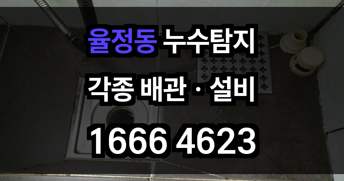율정동 누수탐지
