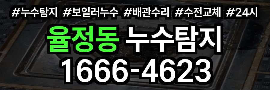 율정동 누수탐지