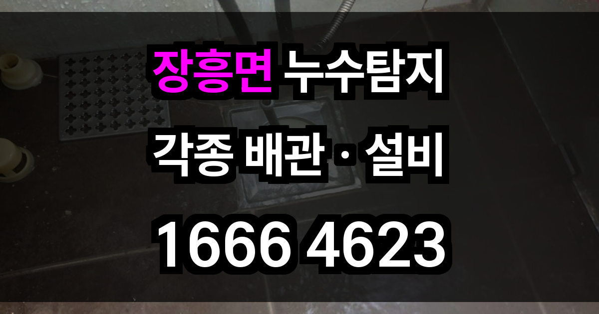 장흥면 누수탐지