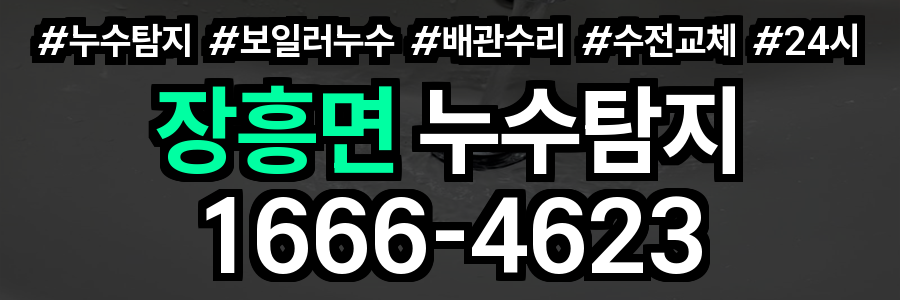 장흥면 누수탐지