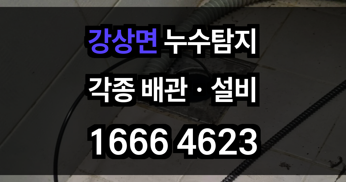 강상면 누수탐지