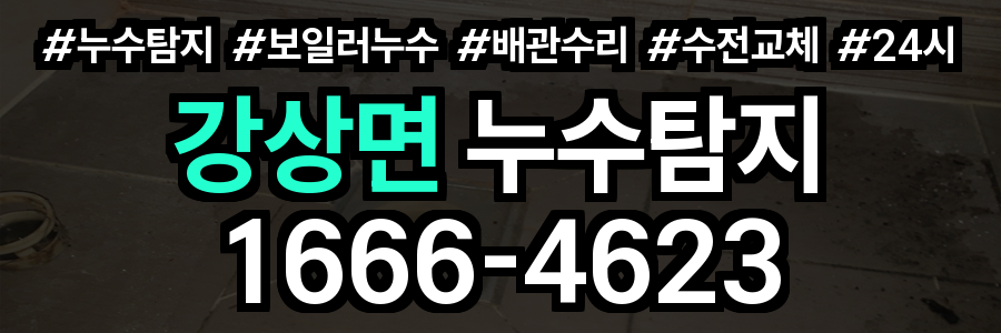 강상면 누수탐지
