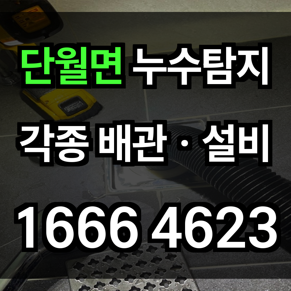 단월면 누수탐지