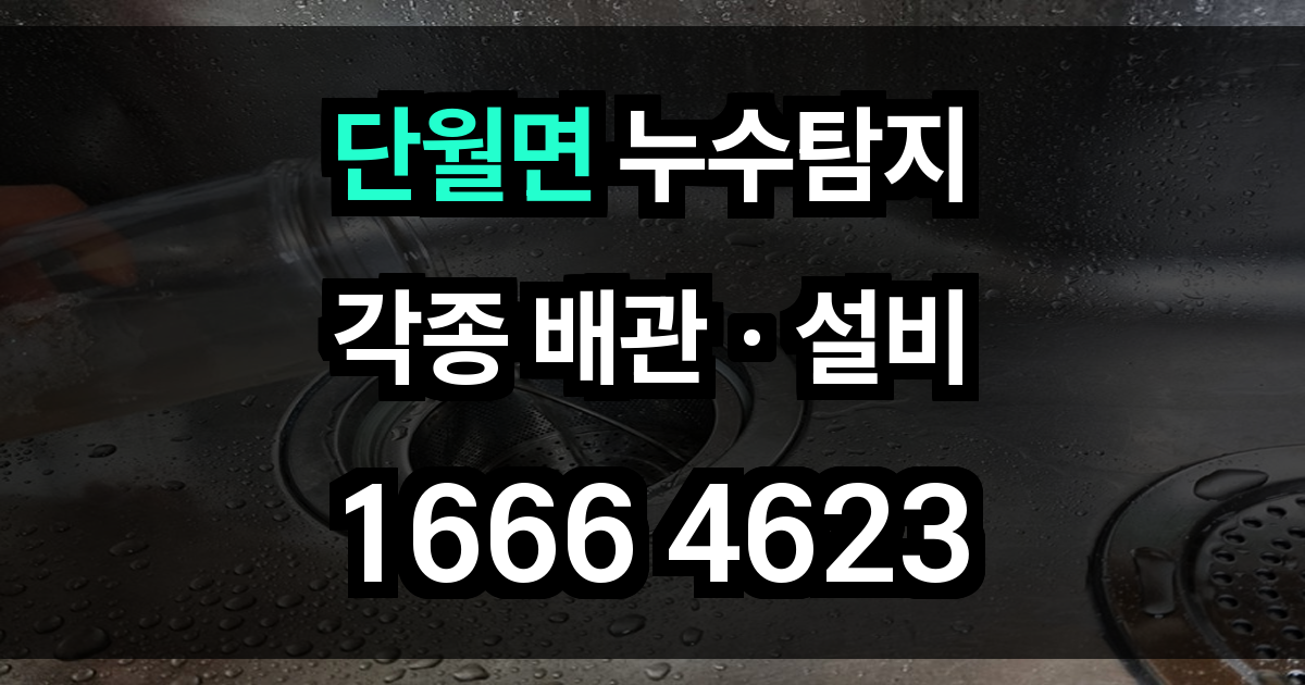 단월면 누수탐지