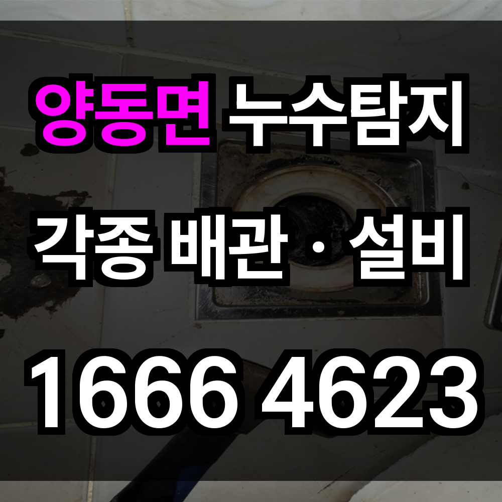 양동면 누수탐지