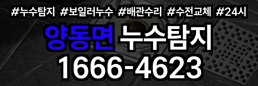 양동면 누수탐지