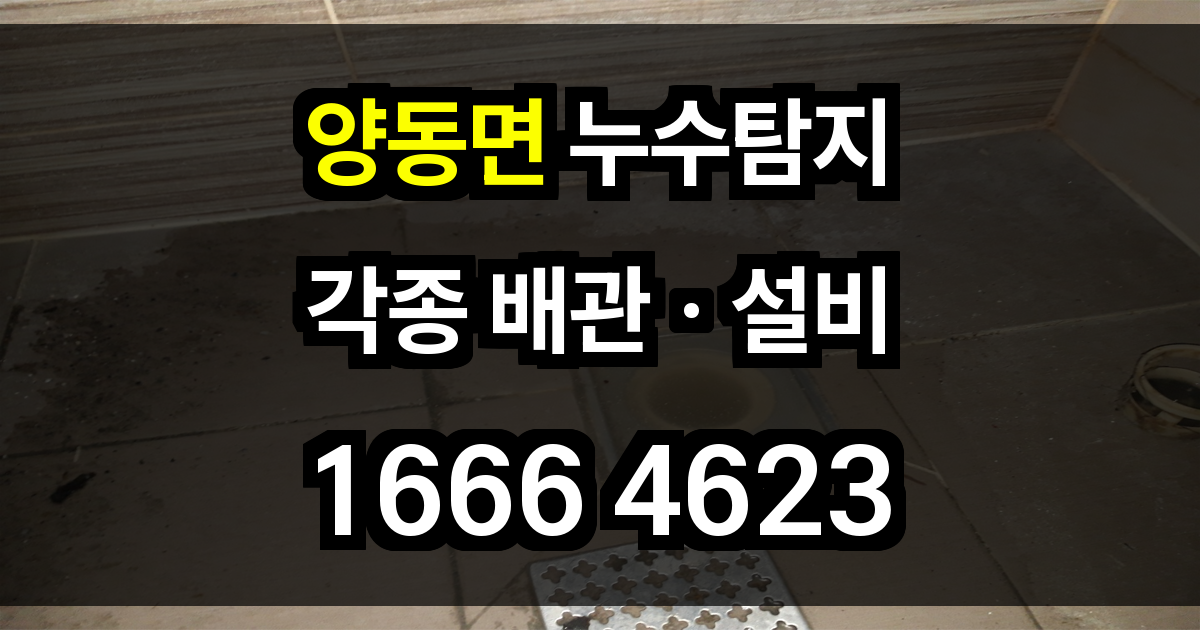 양동면 누수탐지