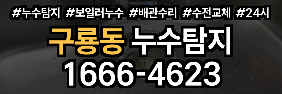 구룡동 누수탐지