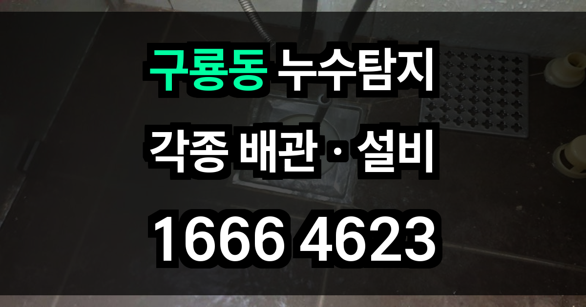 구룡동 누수탐지