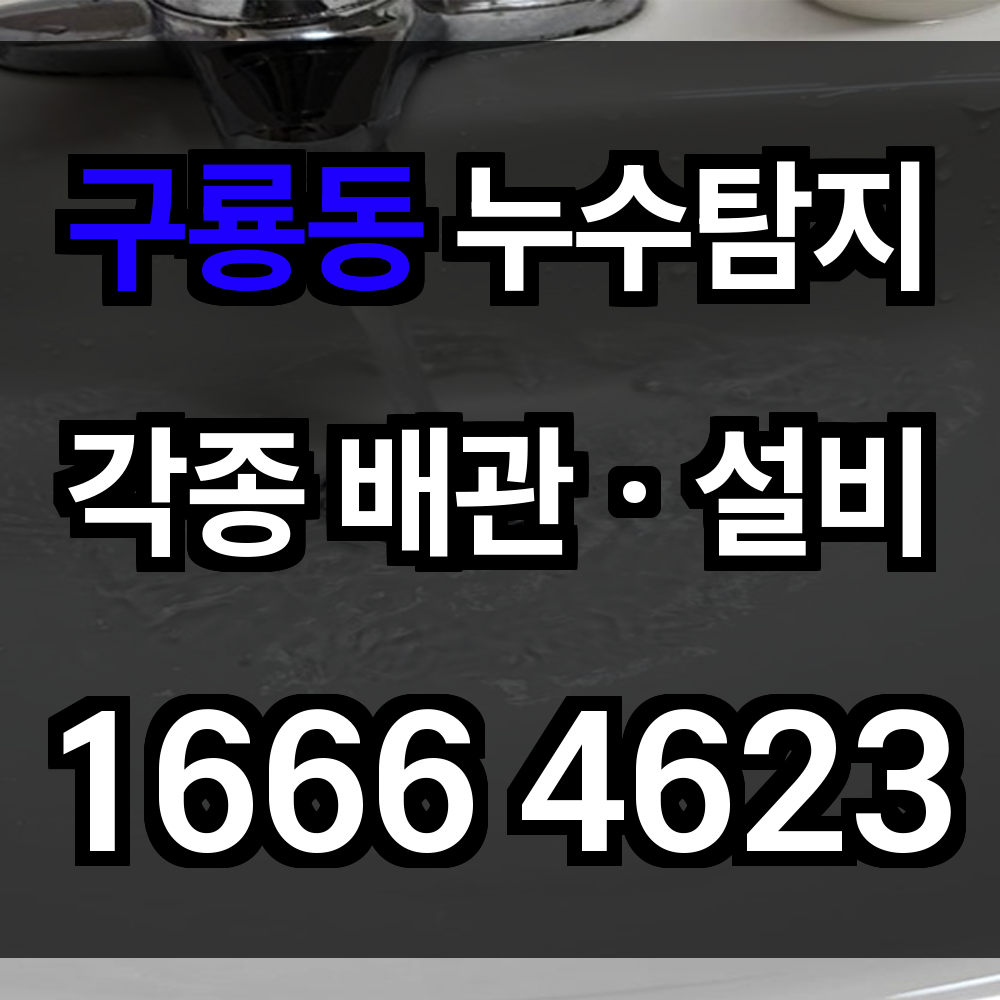 구룡동 누수탐지