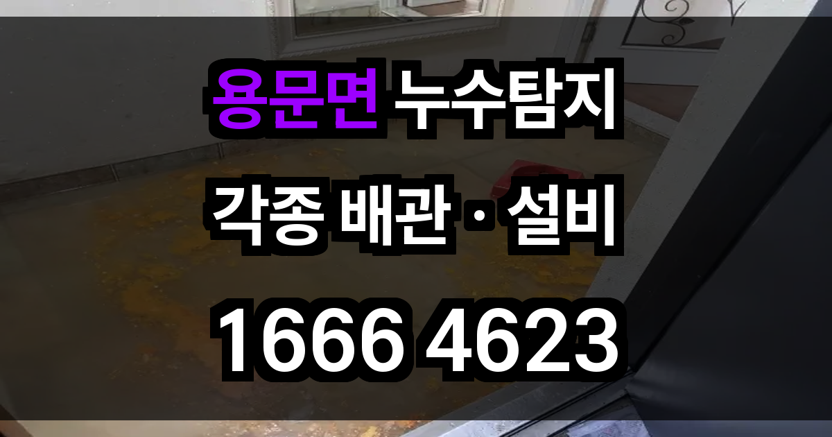 용문면 누수탐지