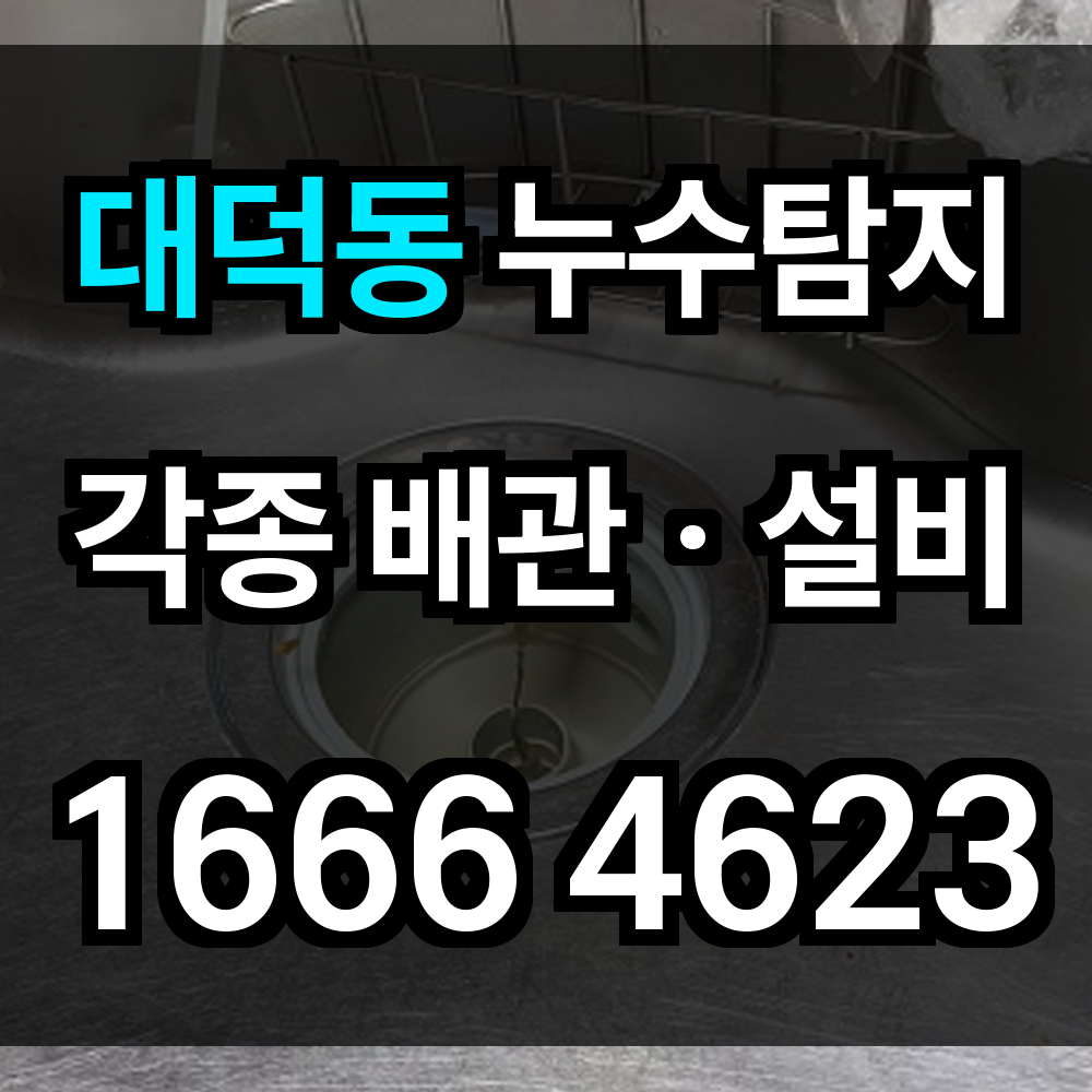 대덕동 누수탐지
