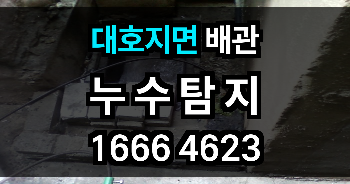 대호지면 누수탐지