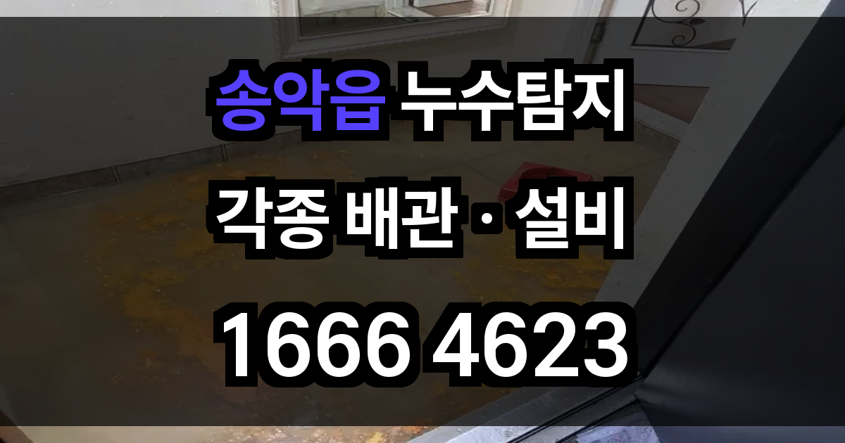 송악읍 누수탐지