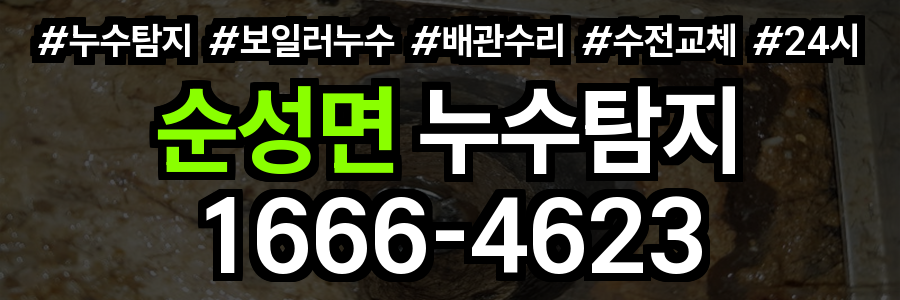 순성면 누수탐지
