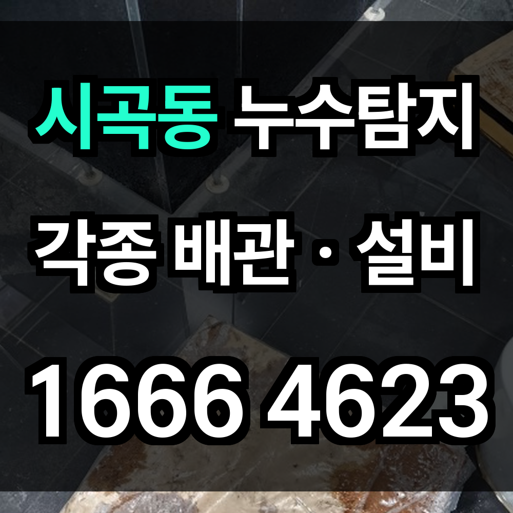 시곡동 누수탐지