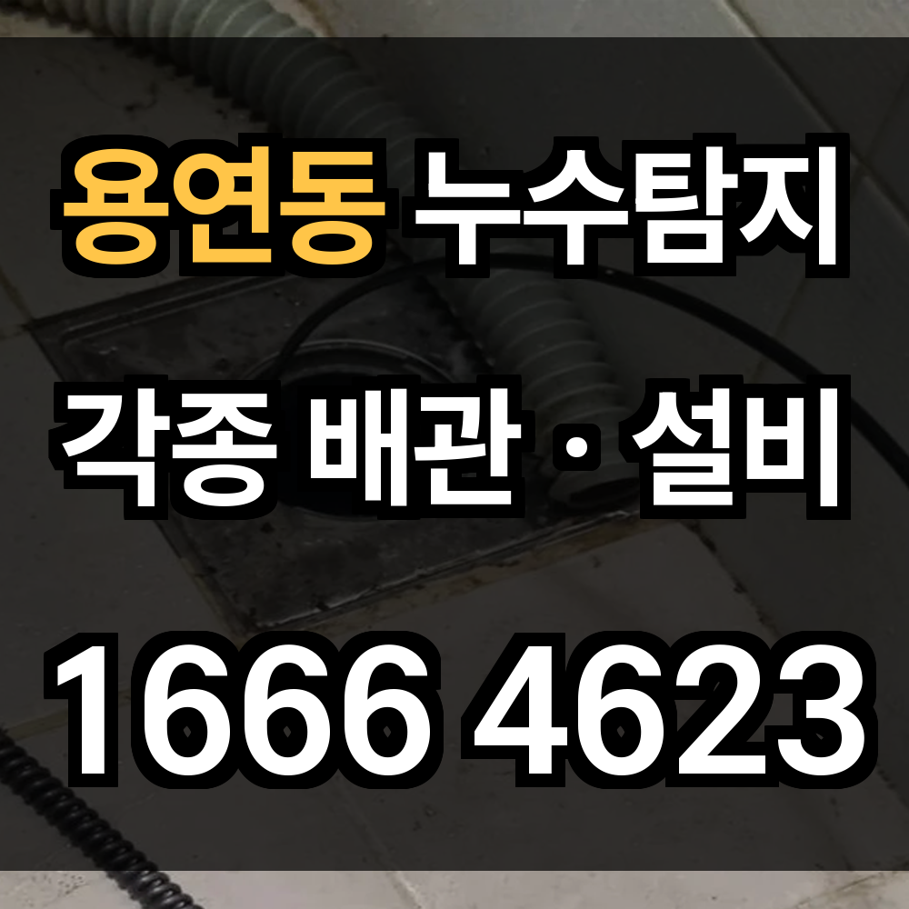 용연동 누수탐지