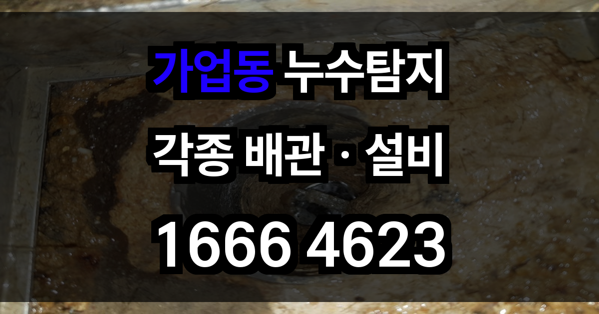 가업동 누수탐지