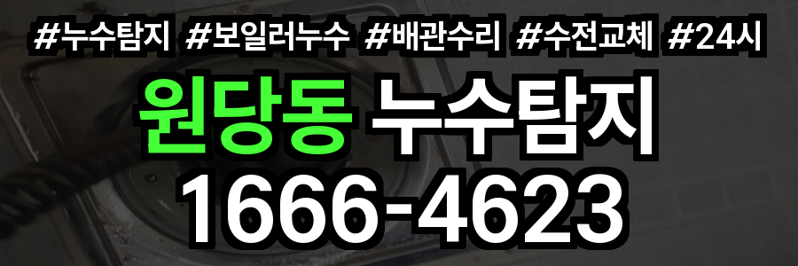원당동 누수탐지