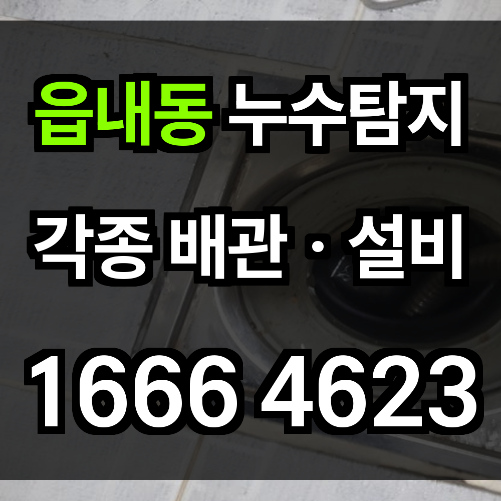 읍내동 누수탐지