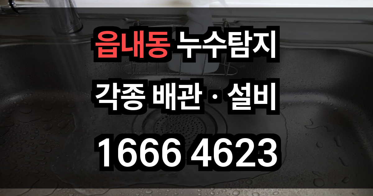 읍내동 누수탐지