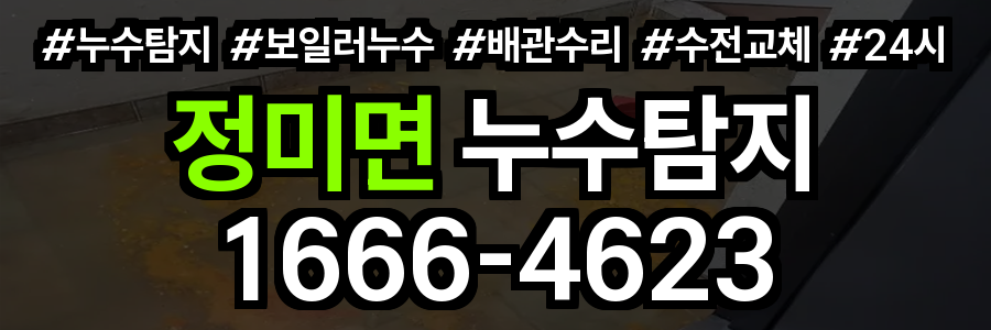 정미면 누수탐지