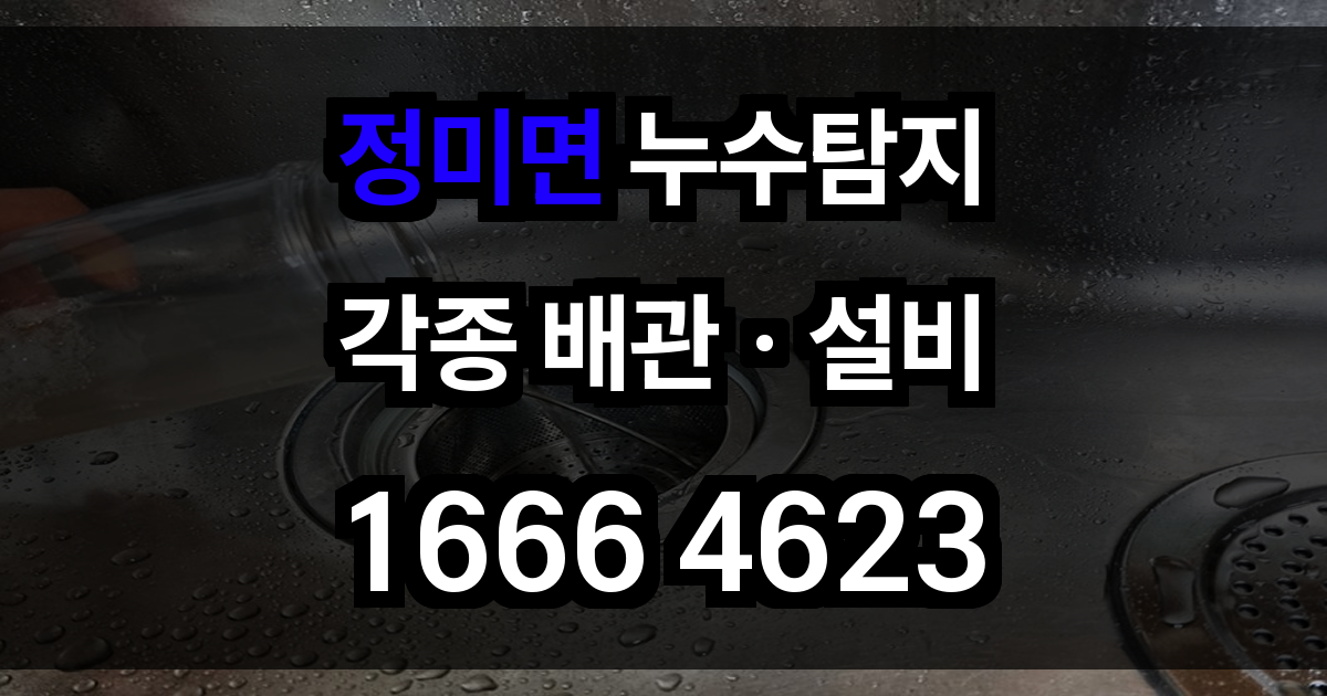 정미면 누수탐지