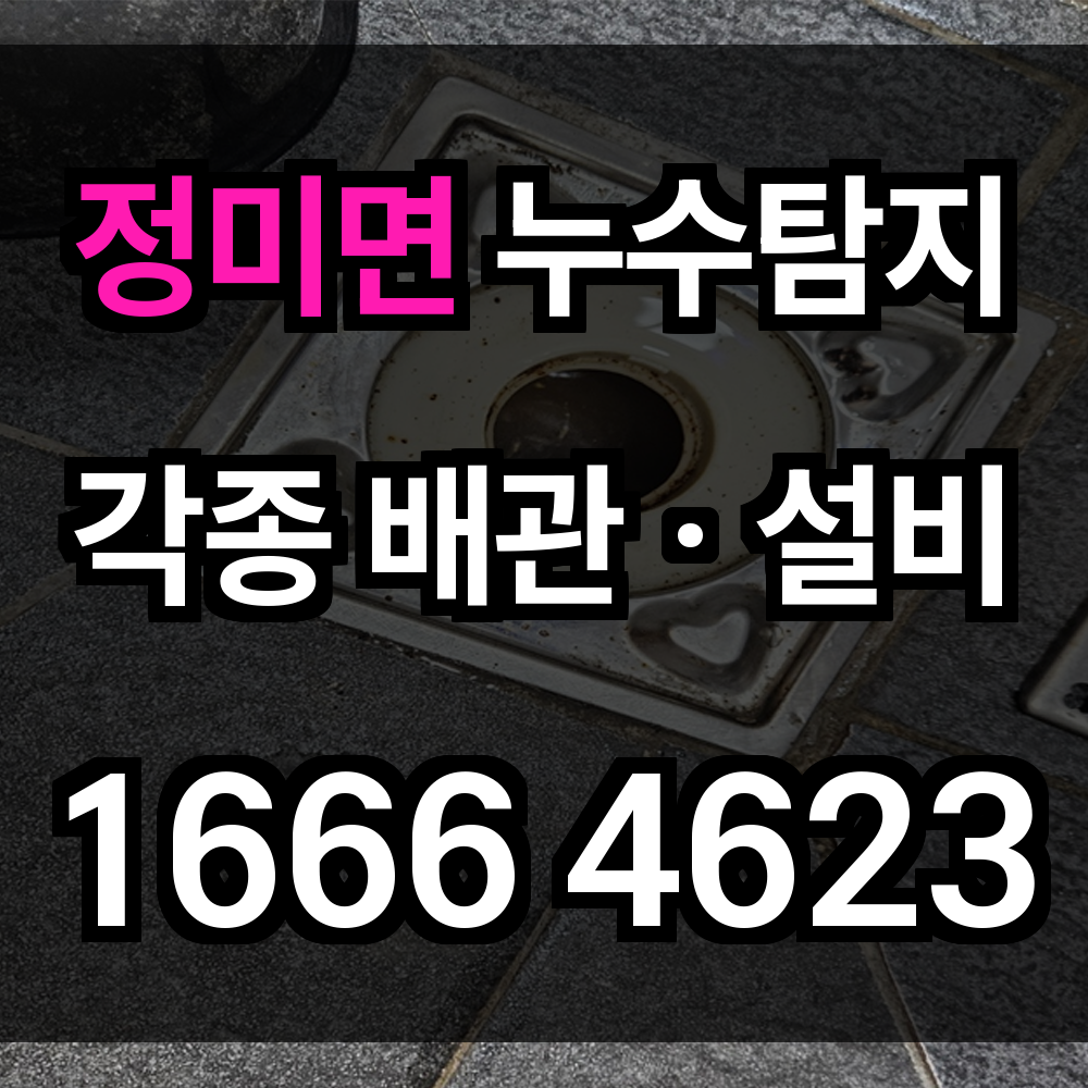 정미면 누수탐지